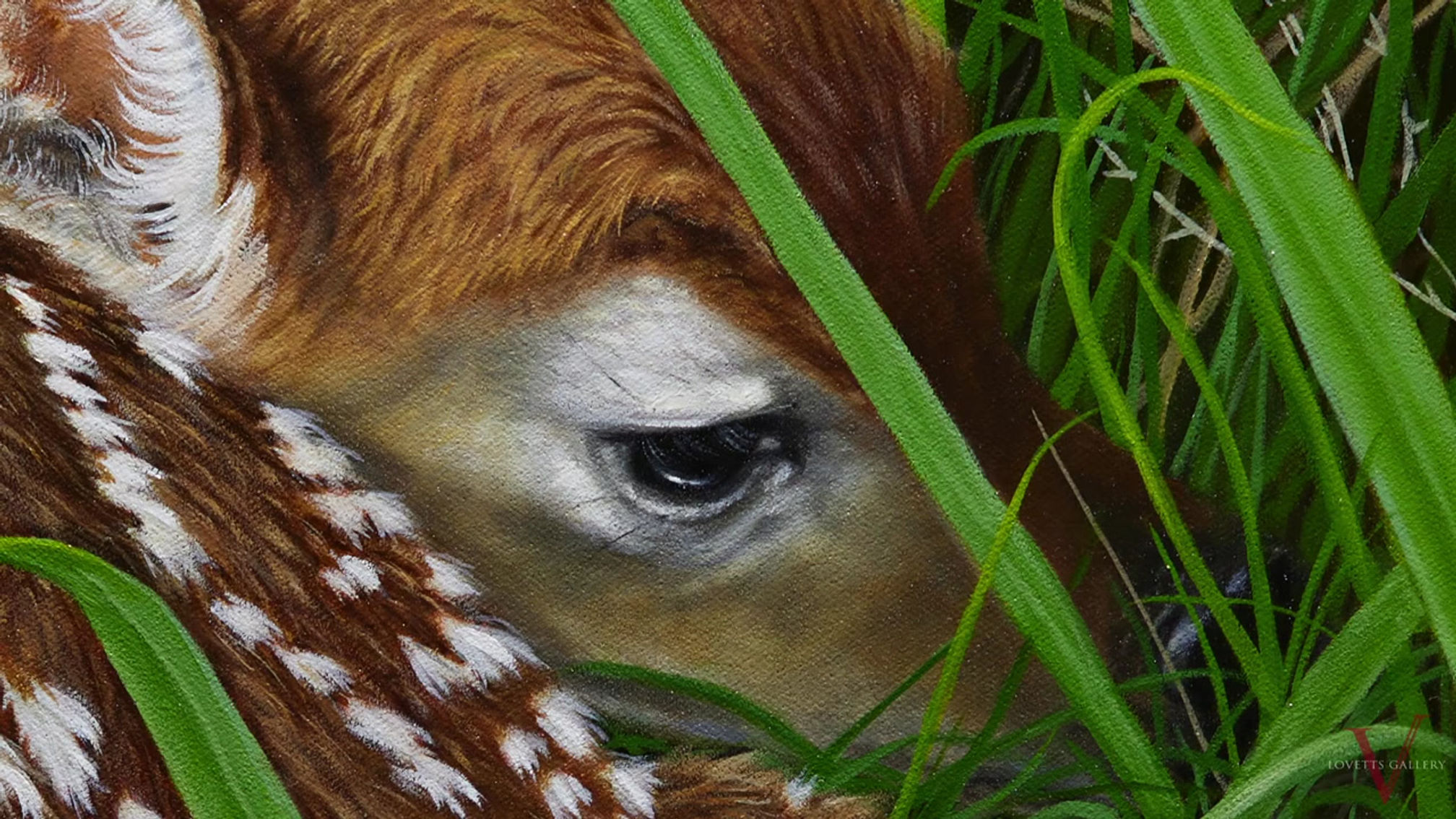 Hidden Treasure by Mary Lou Pape